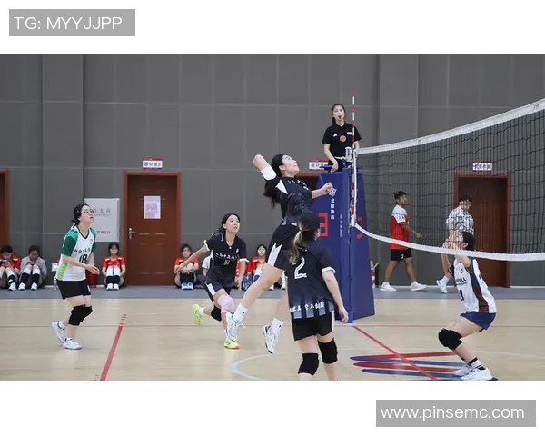 重庆排球队的耐力之道：揭秘排球背后的坚持与拼搏精神